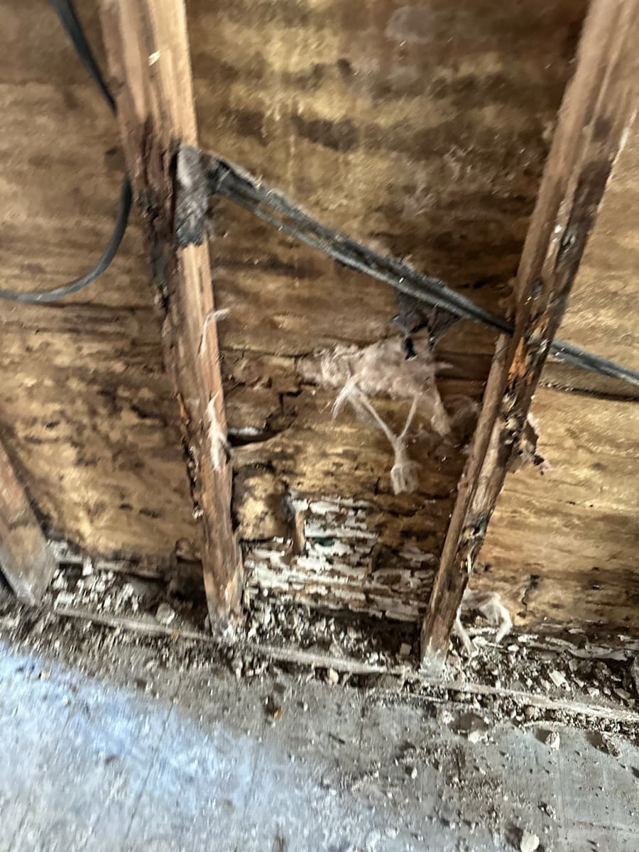 Water damage — rotted wood framing and structural deterioration
